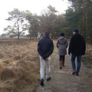 drentse heide in februari (2) leergang coachen