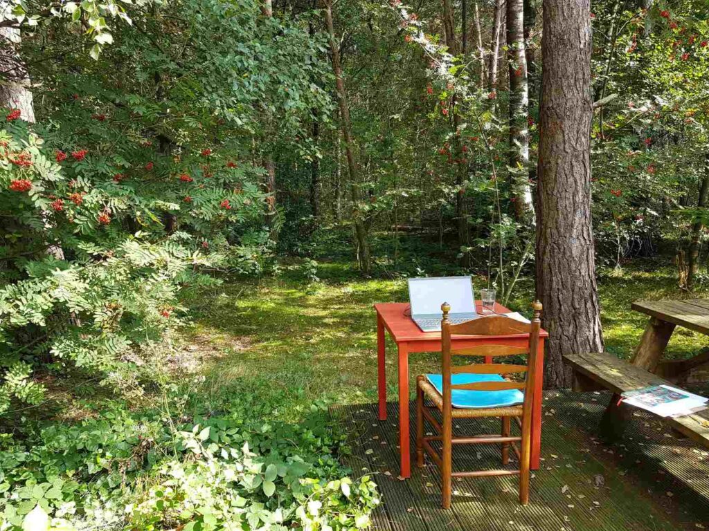 huisje Drenthe schrijftafel in bos